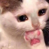 แอด