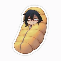 mr. aizawa