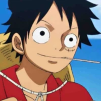 🍖luffy