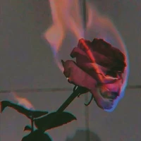 Unknown