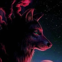 Wolfs 🐺🐺