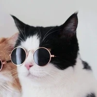 อ๊อฟ(ลูกกูแปลก)