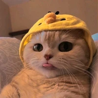 สา(กูชอบเขาอะมึง)