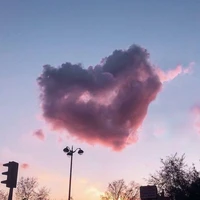 ALEF ( Ana, Lucy, Eliana, Freya )