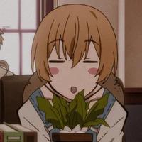 miyazawa