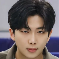 Kim Namjoon🐨