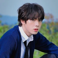 Kim seokjin 