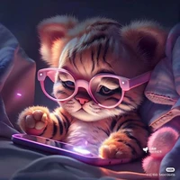 your author