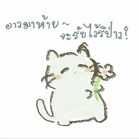 พี่ชายทั้งหลาย