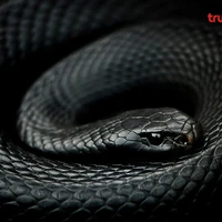 โซ