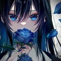 Author(◍•ᴗ•◍)