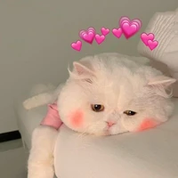 แอด