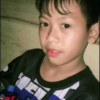 เสือ