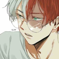 Shoto todoroki/O.P.D/