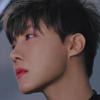 Kim Hoseok/Hobi(Tae Son)