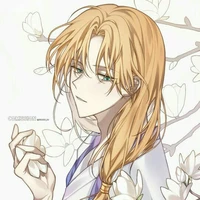 akira Volturi