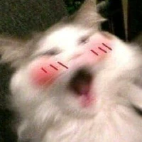 แอดมินนน