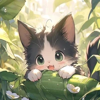 Mei