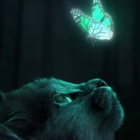 autora