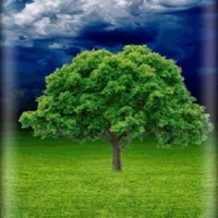 All