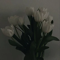 All