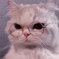 แอดคนดี