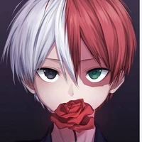 Shoto Todoroki