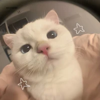 แอดเอง