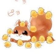 squirrel