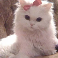 Katherine/Pearl