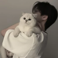 มิกซ์ - นอ.