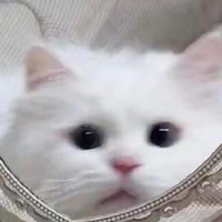 ฮานะ
