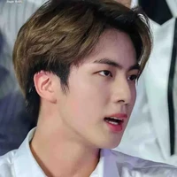 Kim Seokjin/wwh