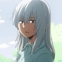 rei todoroki