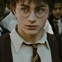 Harry Potter (แฮร์รี่)