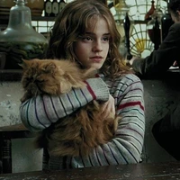 Hermione Granger (เฮอร์ไมโอนี่)