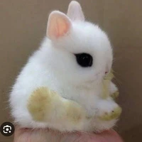 Fluffy