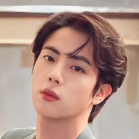 Jin ( rm wife)