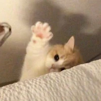 แอด/ไรท์