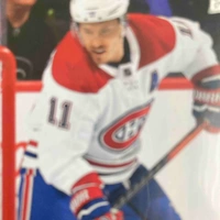 Brendan Gallagher