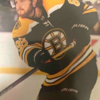 David Pastrnak