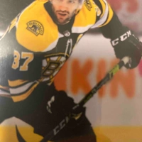 Patrice bergeron