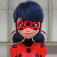 ladybug