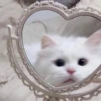 ตุ๊ต๊ะ
