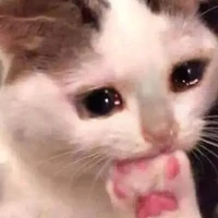 แมวน้อยแอด
แมวน้อยแอดเอง
