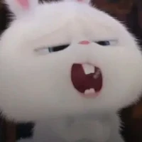 แอดเอง