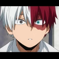 todoroki(alfa dominante)