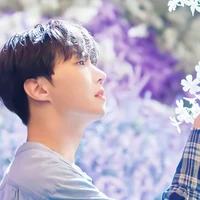 Hobi