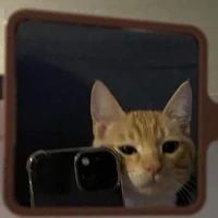 แอด