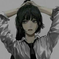 Y/N